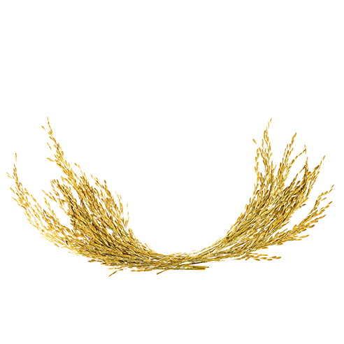 Footer Primary Without Banner