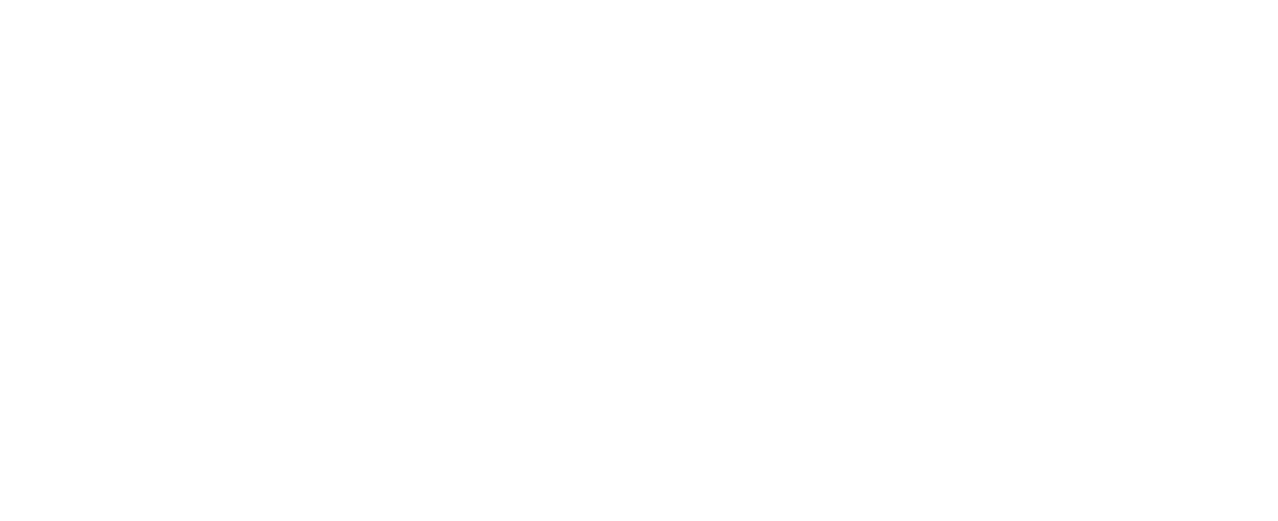 Footer Primary Without Banner